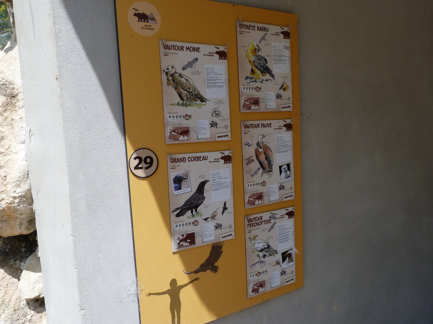 Signae within the aviary -Zoodyssée (2025)