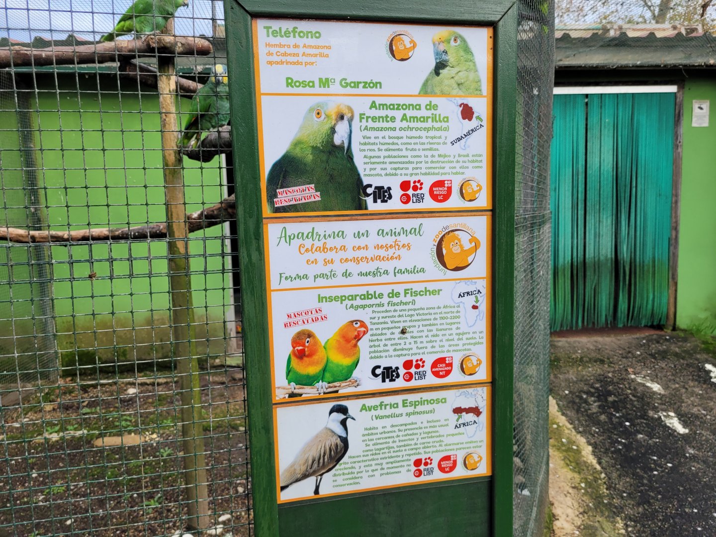 Signae -Zoo de Santillana del Mar (2023)