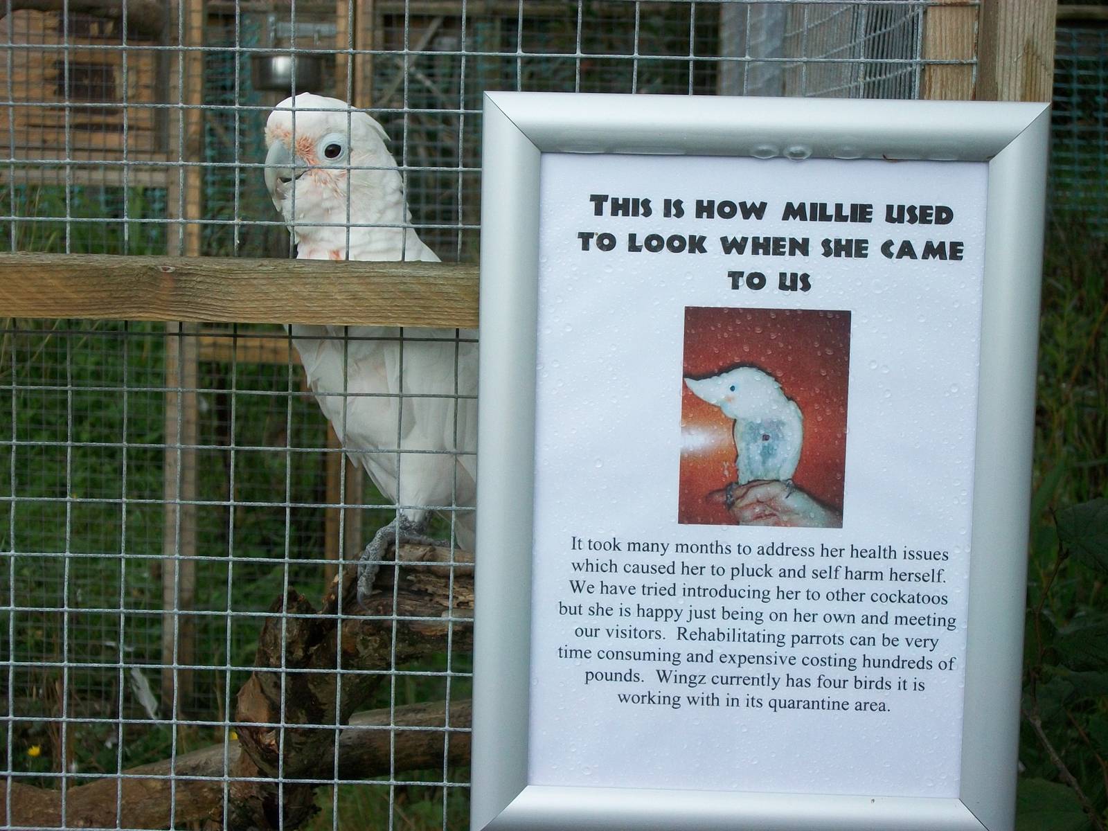 Signage 10th September 2012