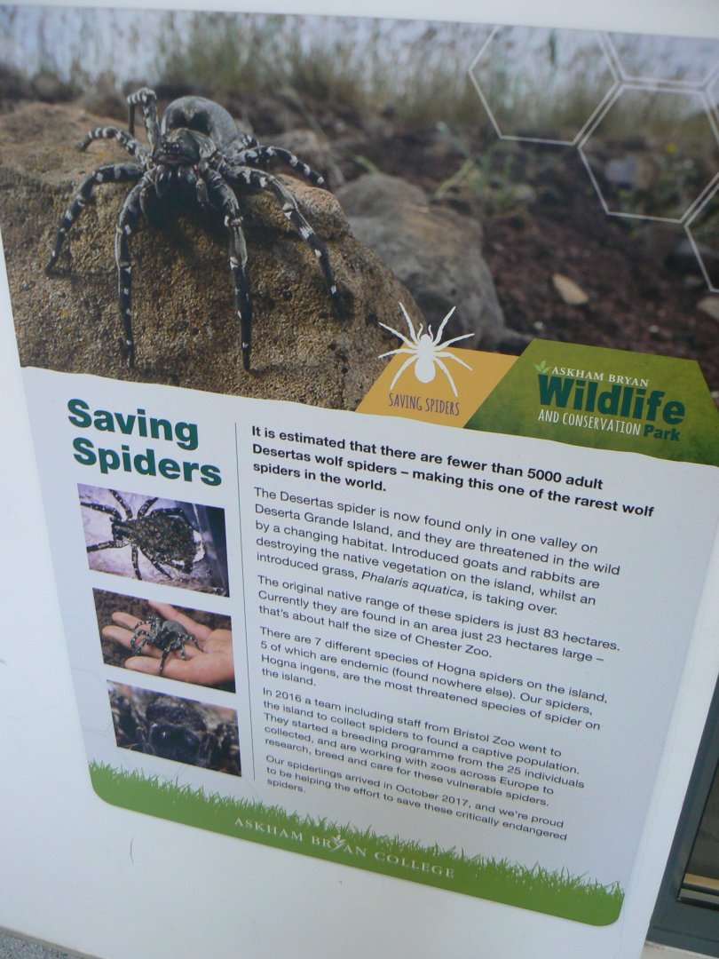 Signage - 12 February 2018