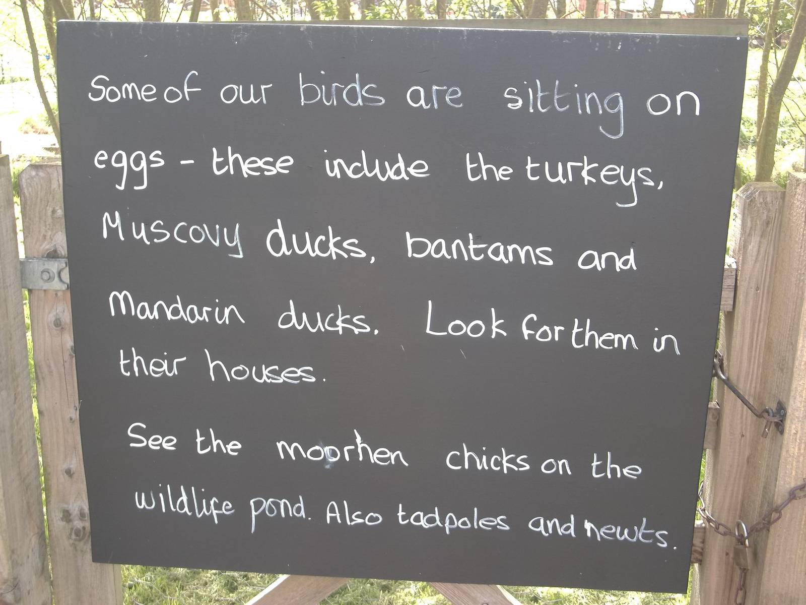 Signage, 12th May 2015