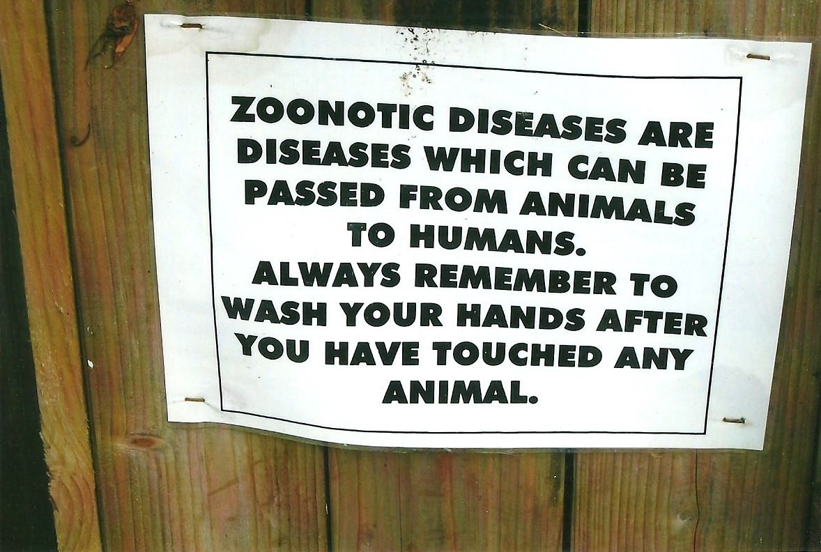 Signage, 13th September 2013