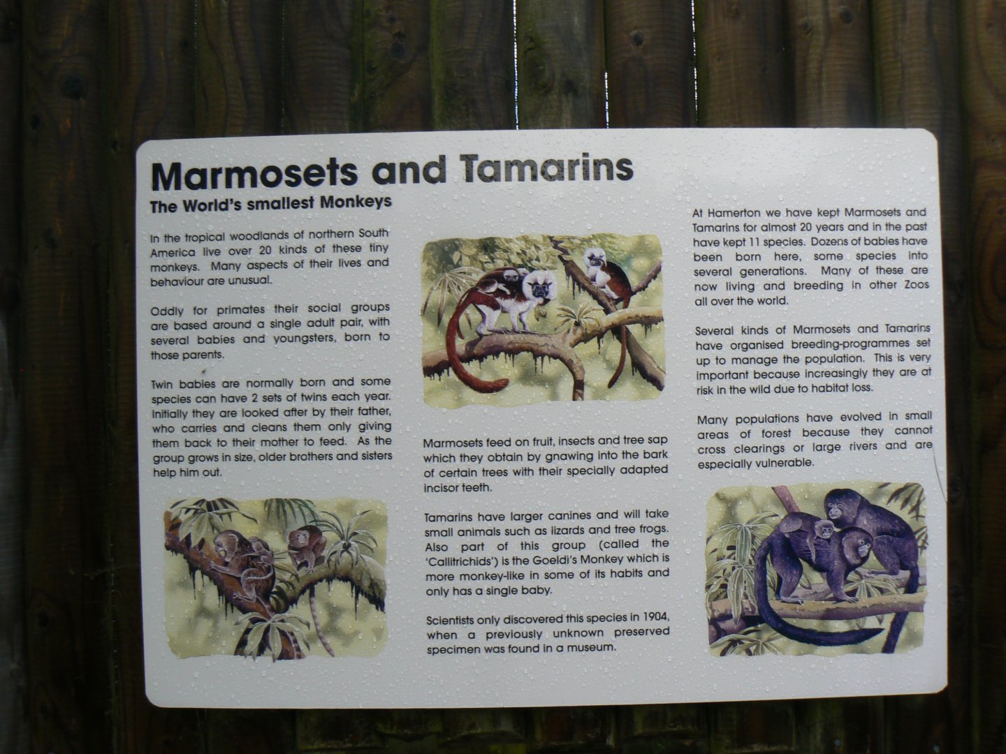 Signage - 16 October 2016