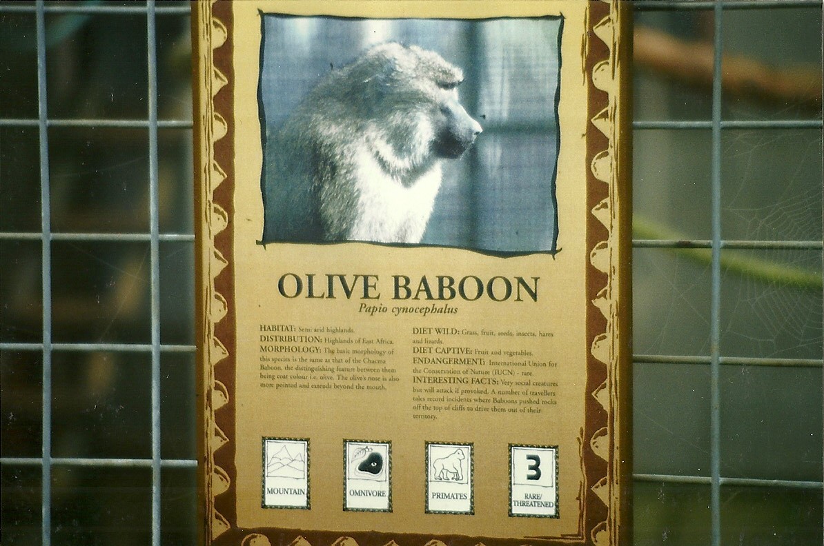 Signage 17th October 1997