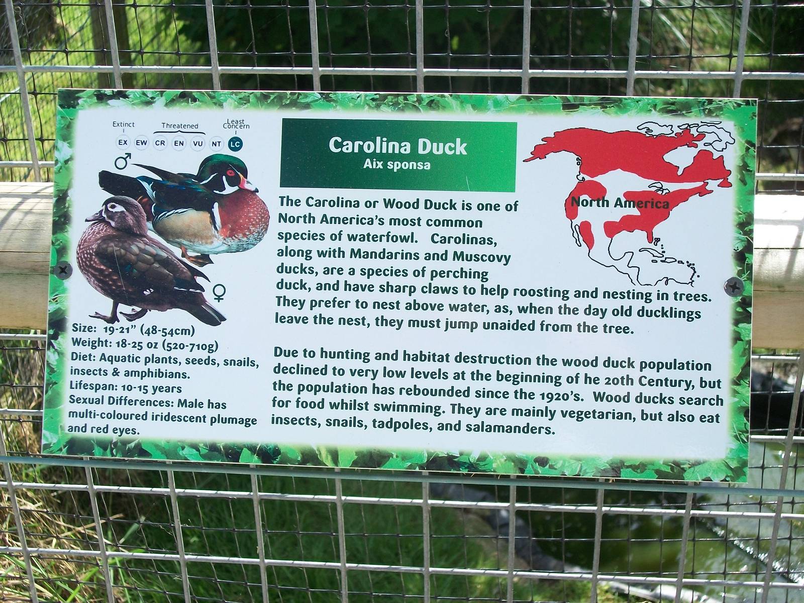 Signage, 19th June 2014