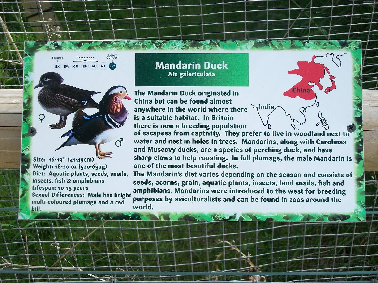 Signage, 19th June 2014