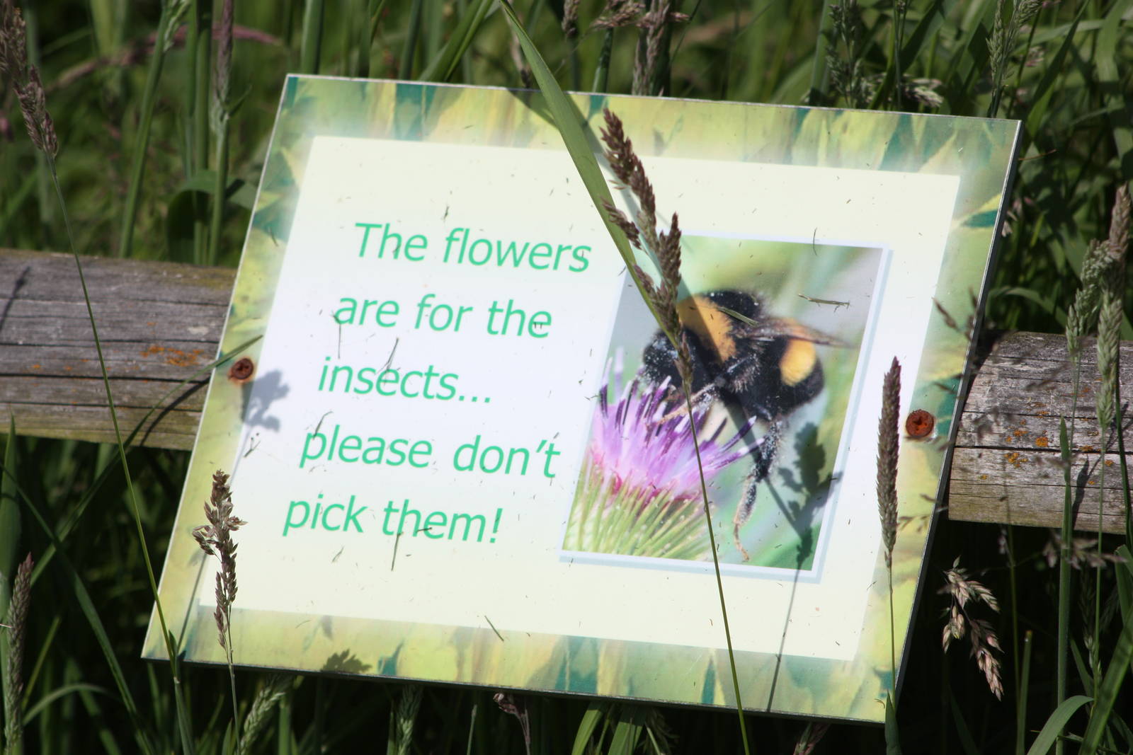 Signage, 19th June 2014