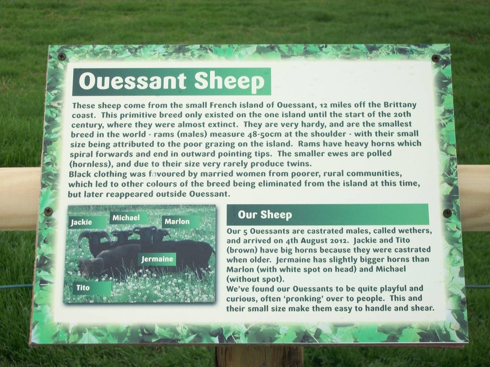 Signage, 1st May 2014