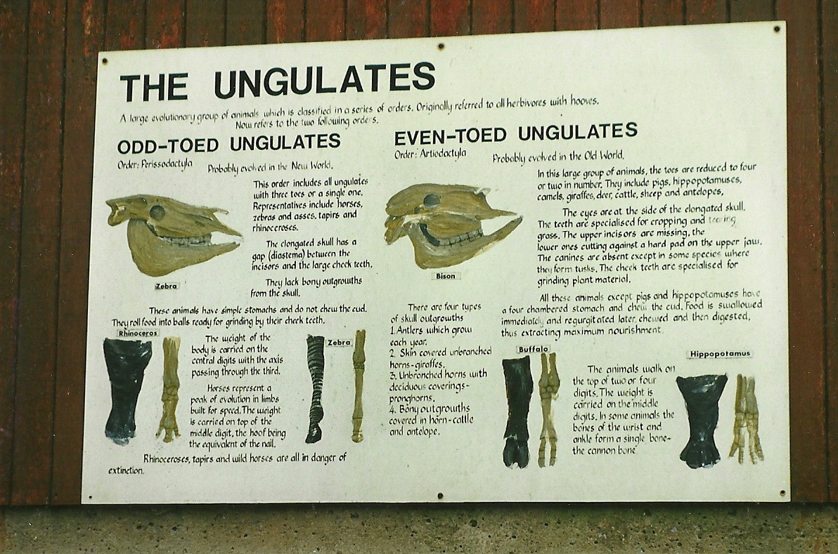Signage 1st November 1997