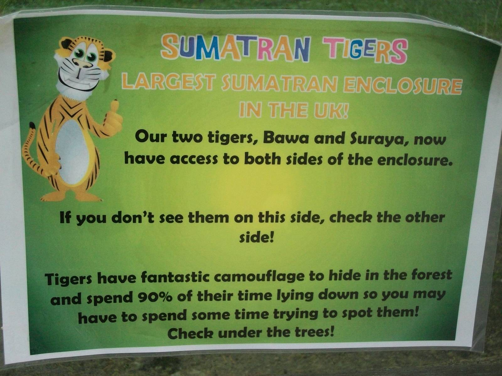 Signage 1st November 2012