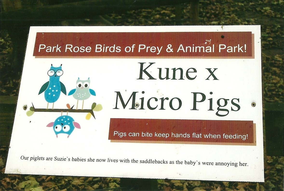 Signage, 1st November 2013