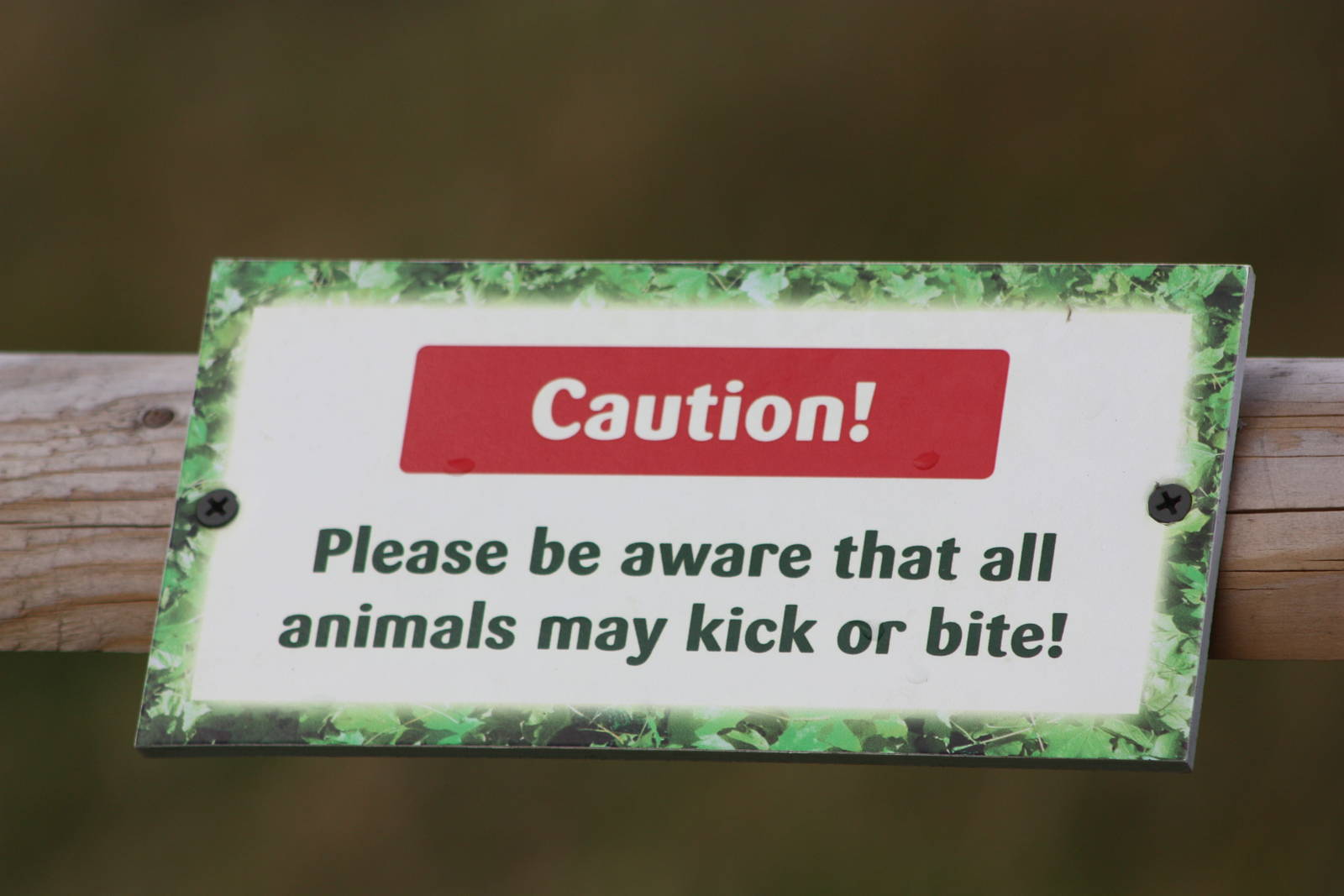 Signage, 21st August 2014