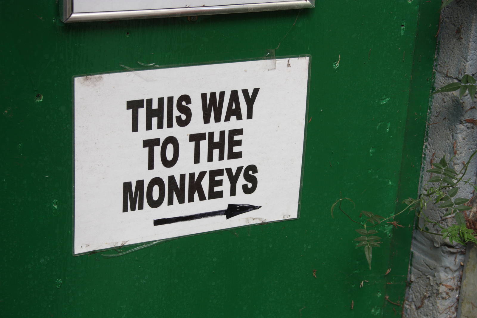 Signage, 23rd September 2014