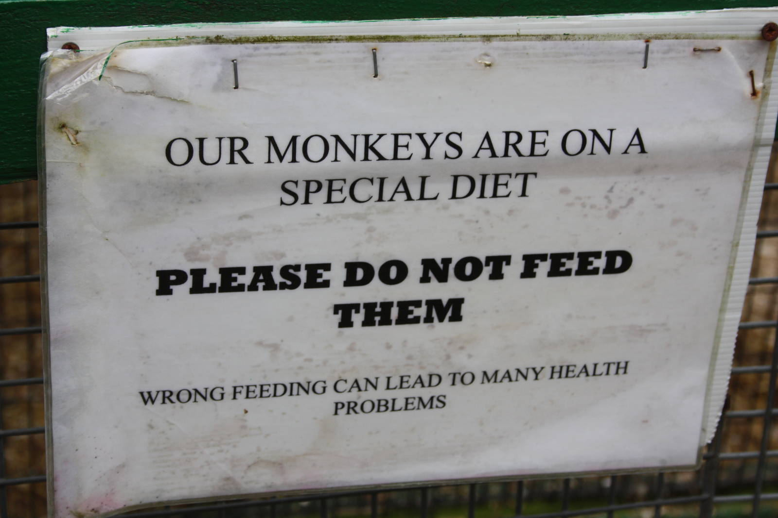 Signage, 23rd September 2014