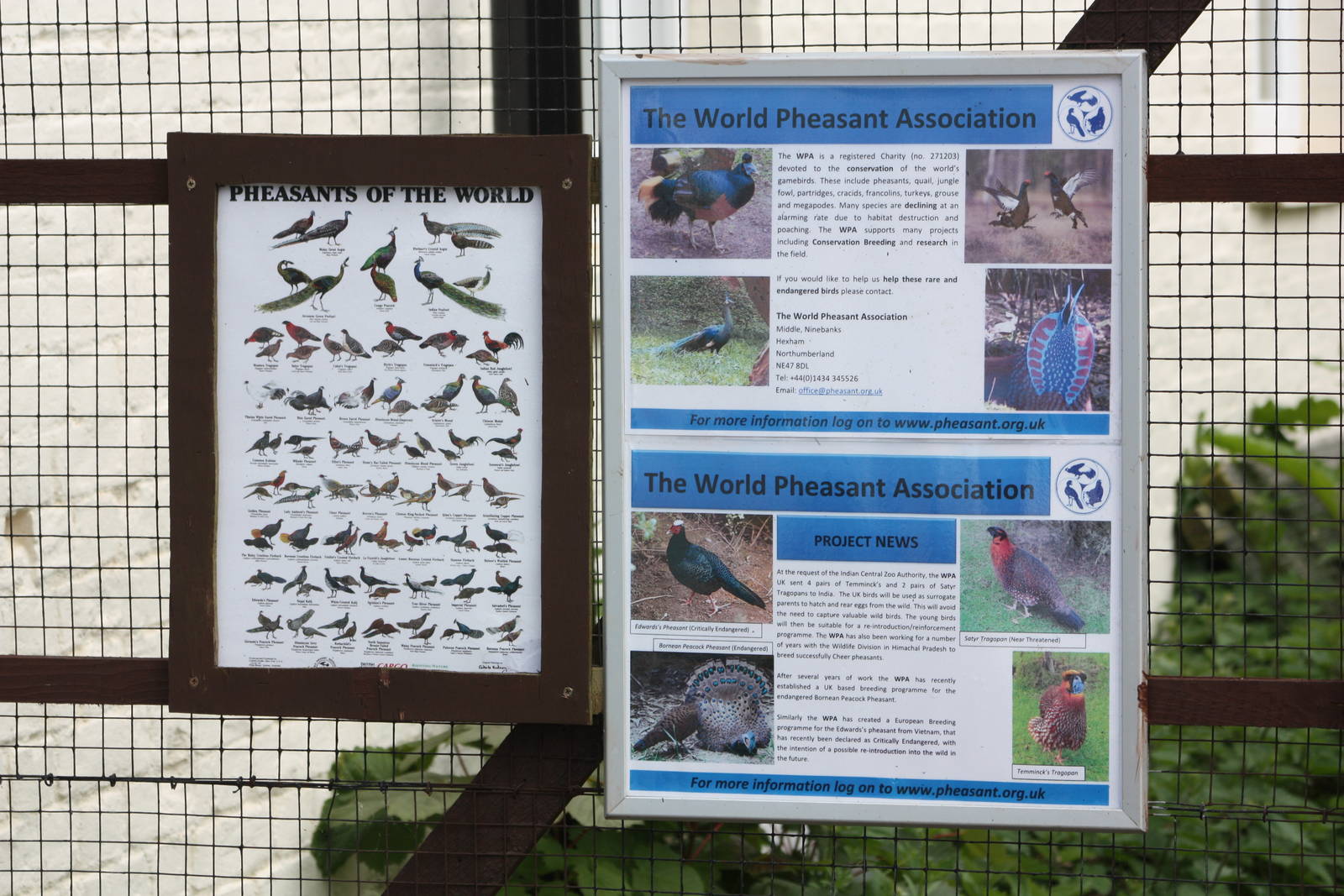 Signage, 24th May 2014