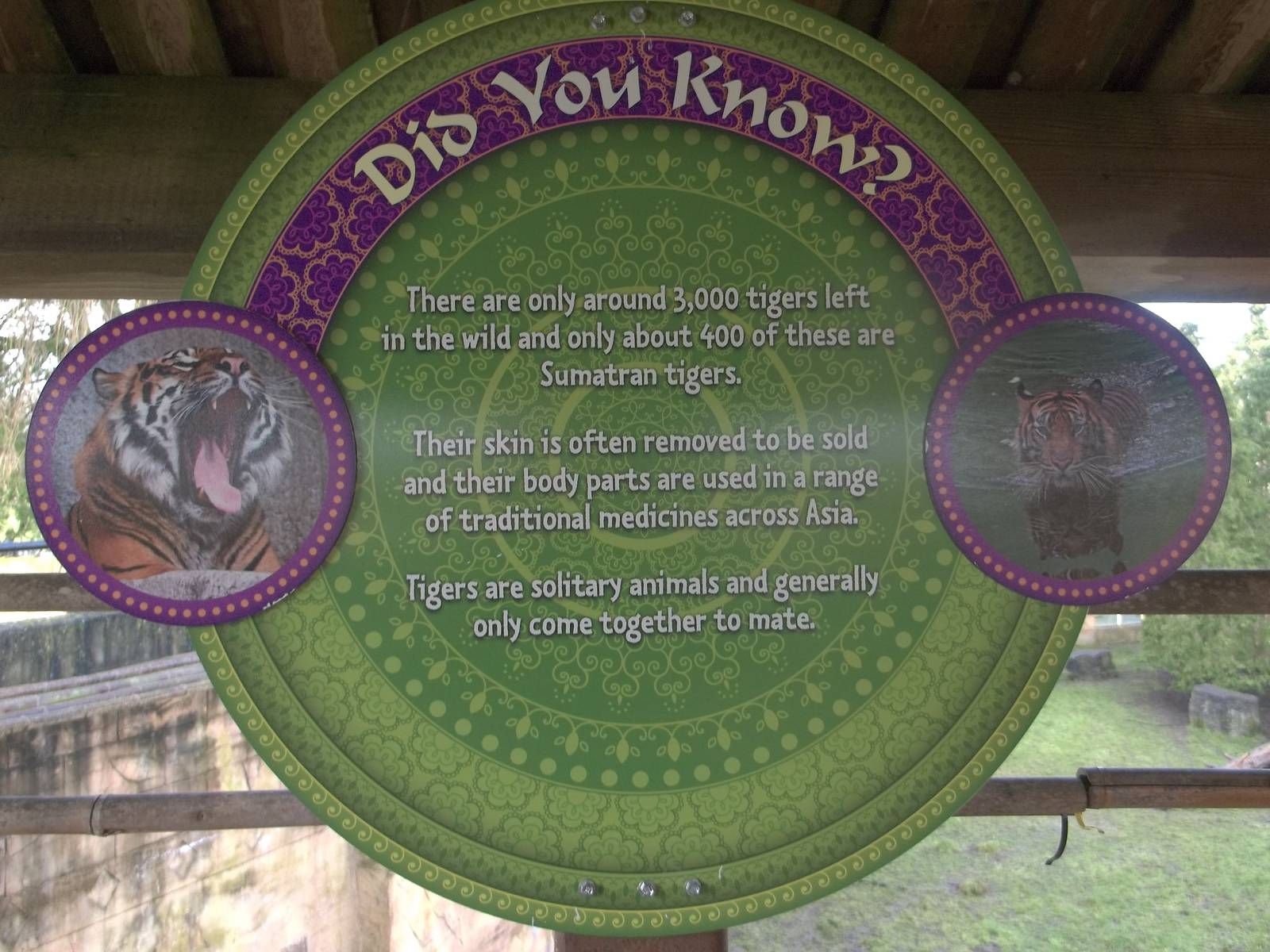 Signage, 27th December 2014