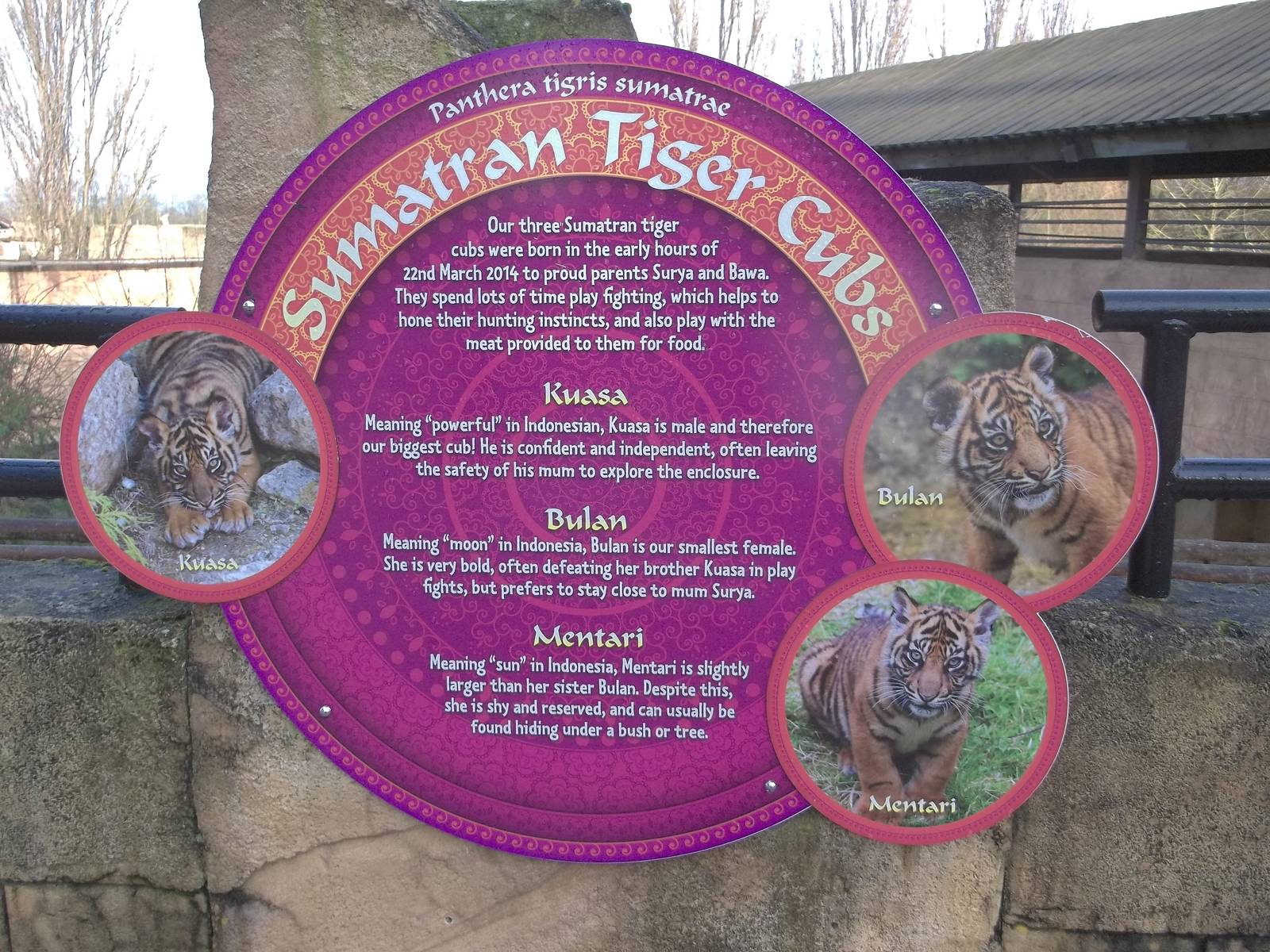 Signage, 27th December 2014