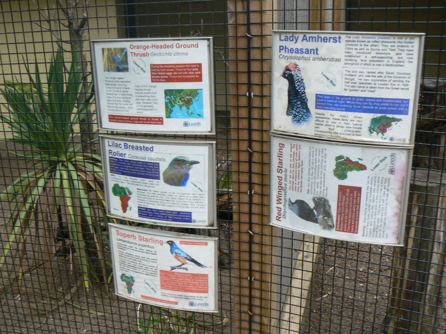 Signage - 29 July 2018