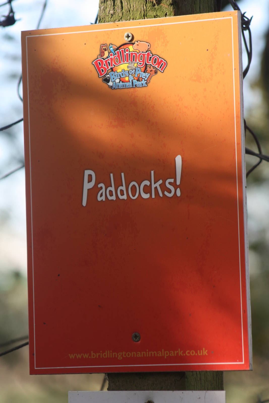 Signage, 29th October 2014