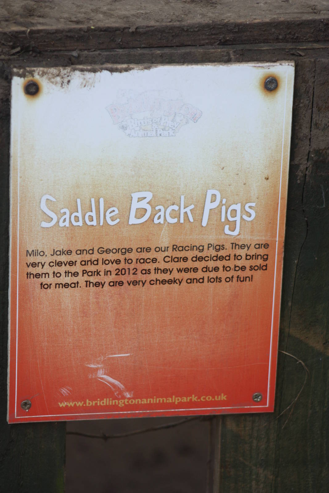 Signage, 29th October 2014