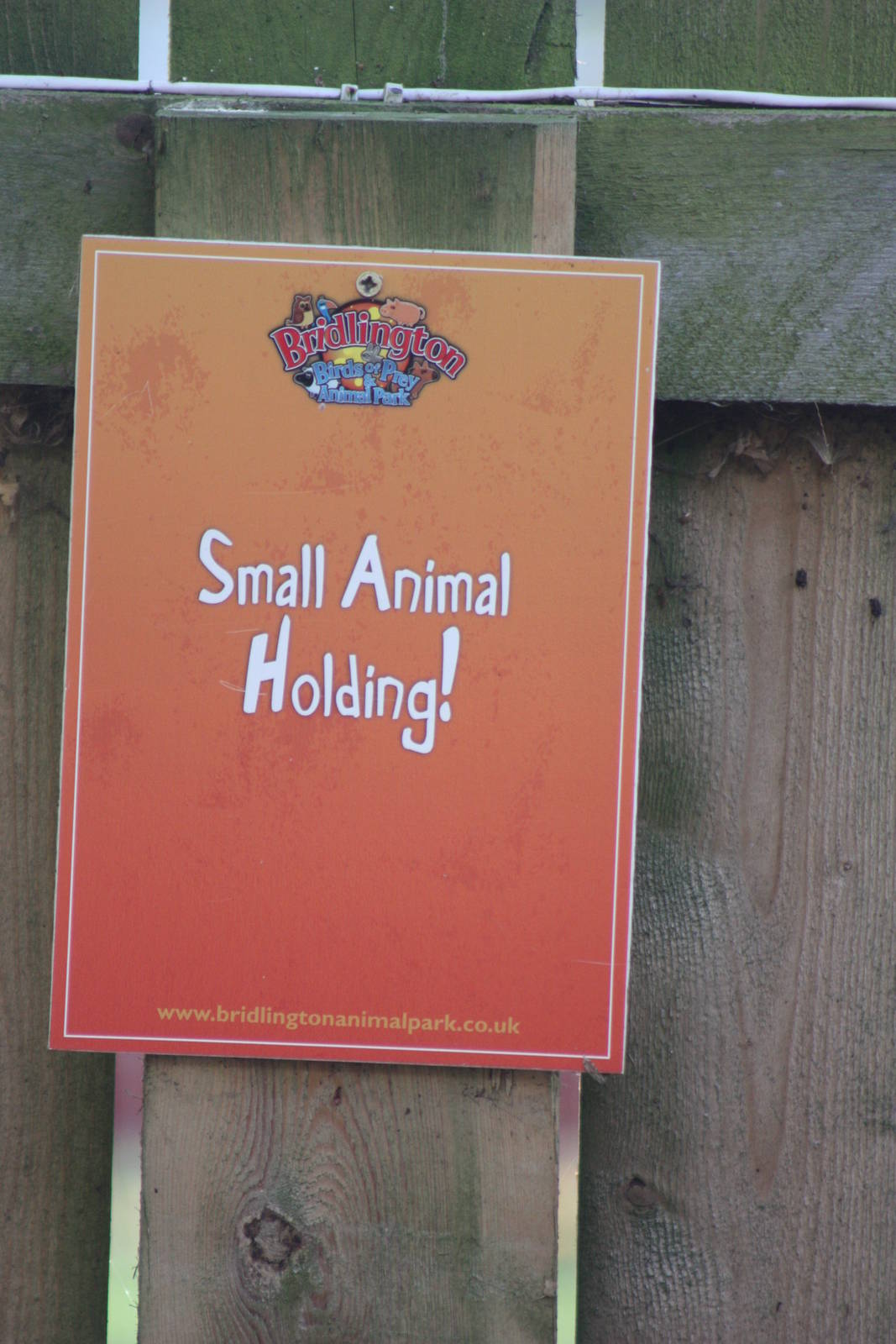 Signage, 29th October 2014