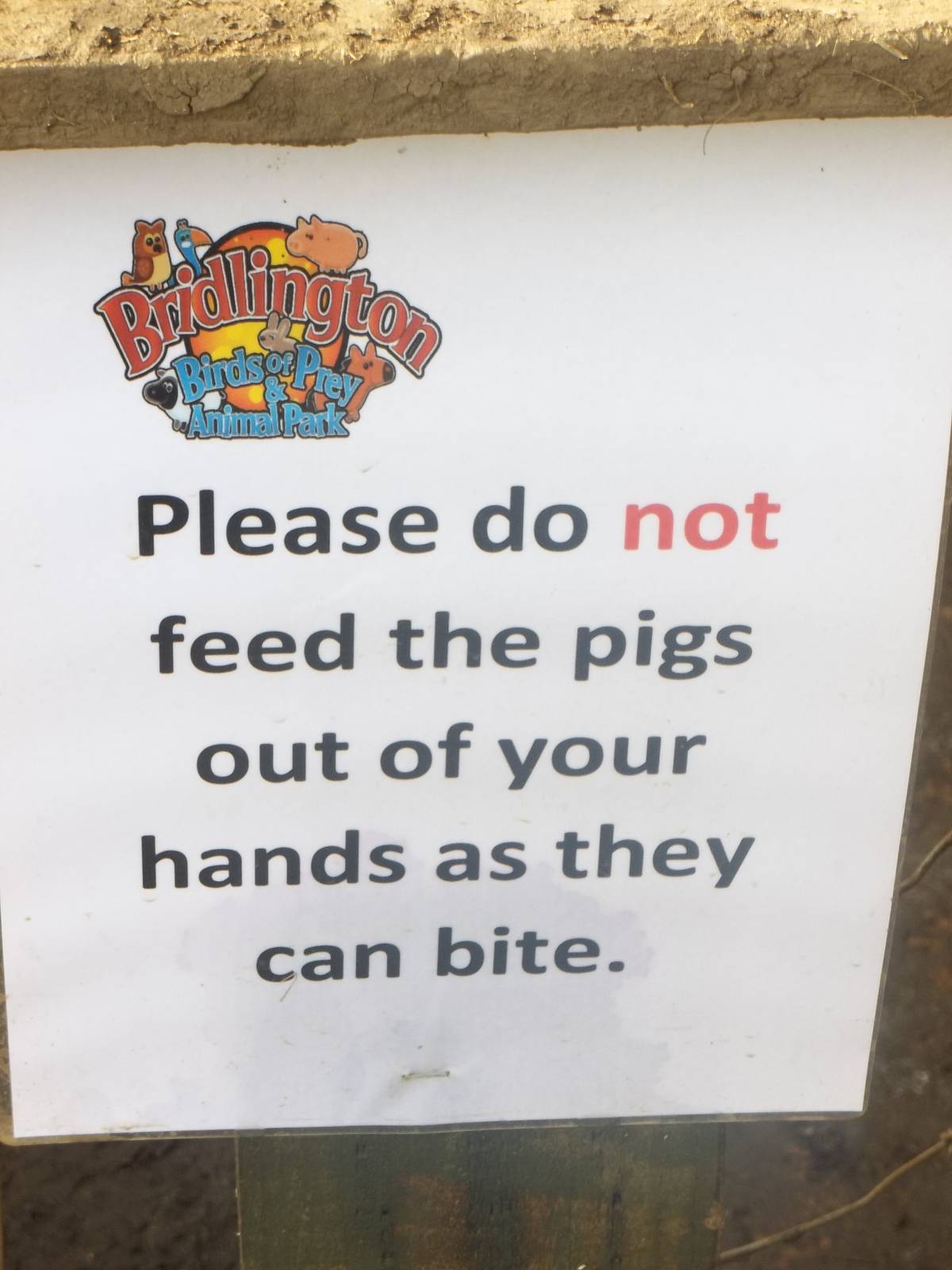 Signage, 29th October 2014