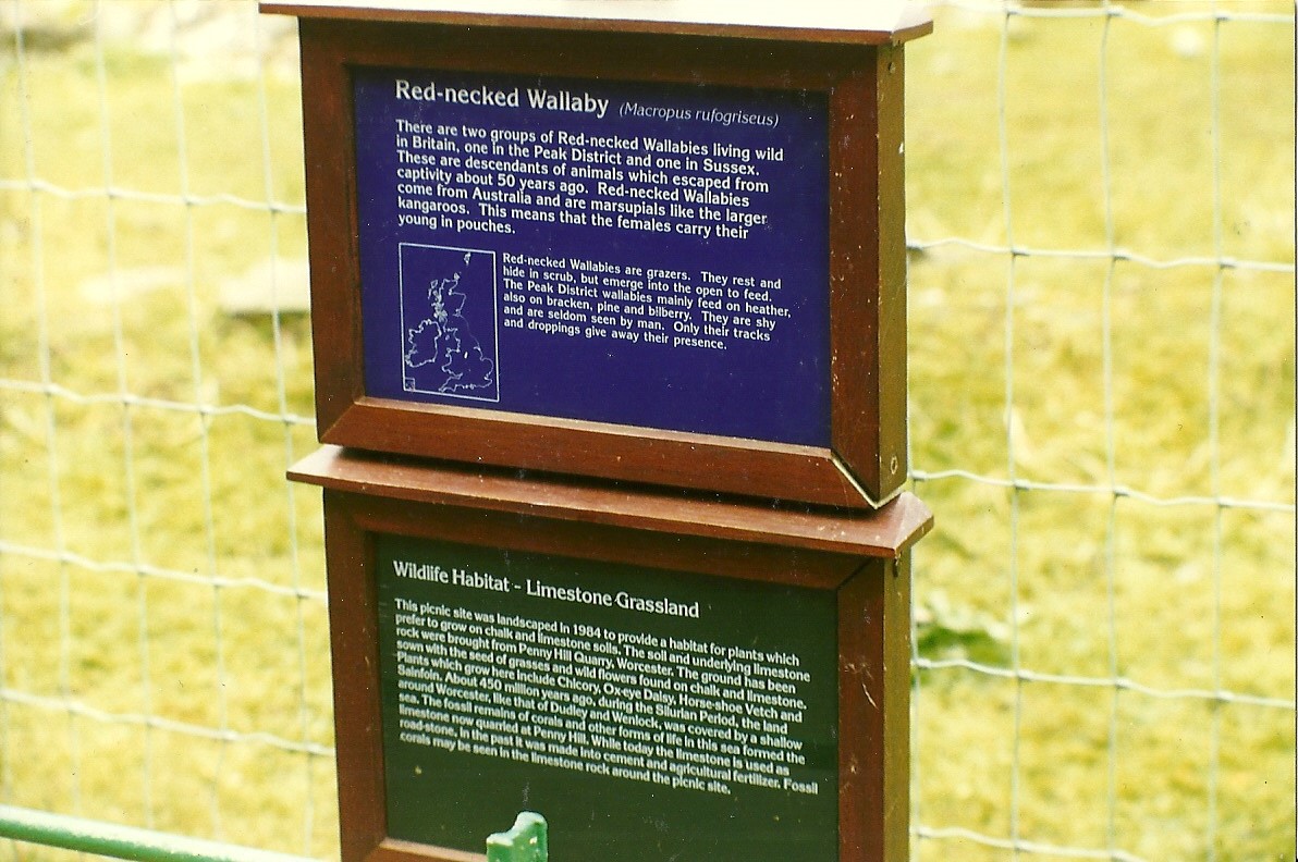 Signage 30th October 1997