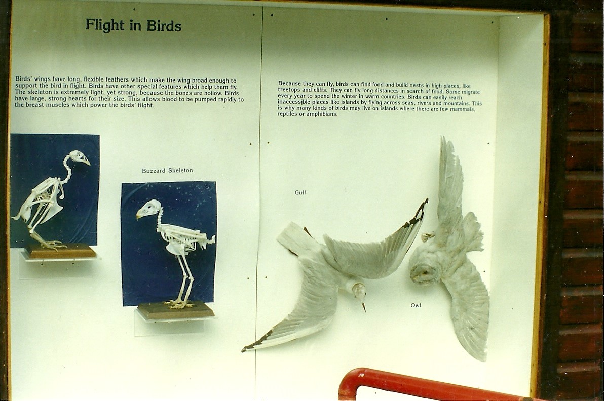 Signage 30th October 1997