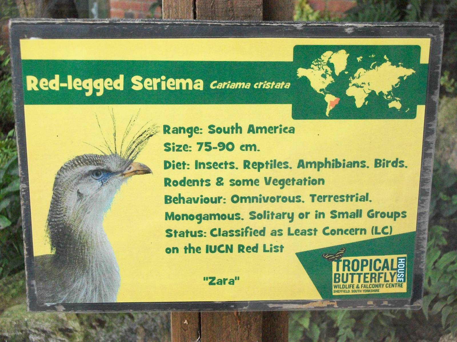 Signage, 3rd August 2012