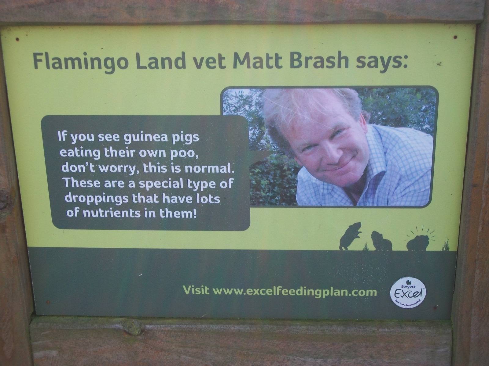 Signage, 3rd January 2014