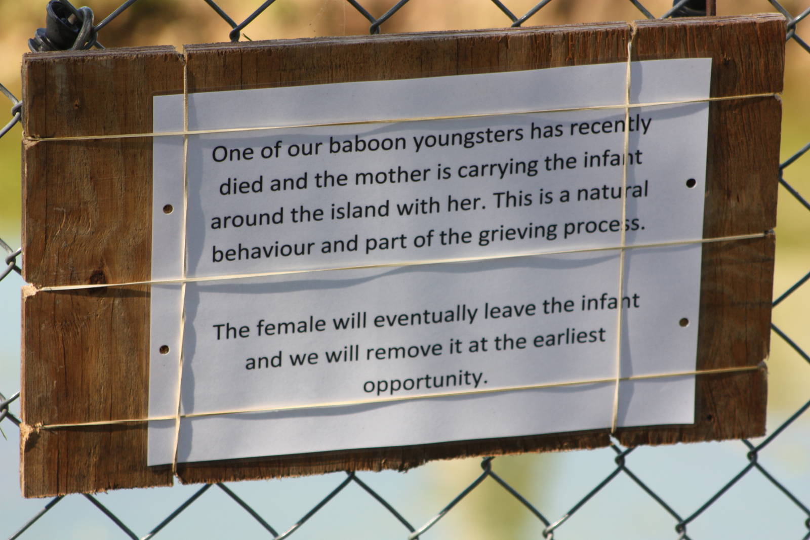 Signage, 4th August 2014