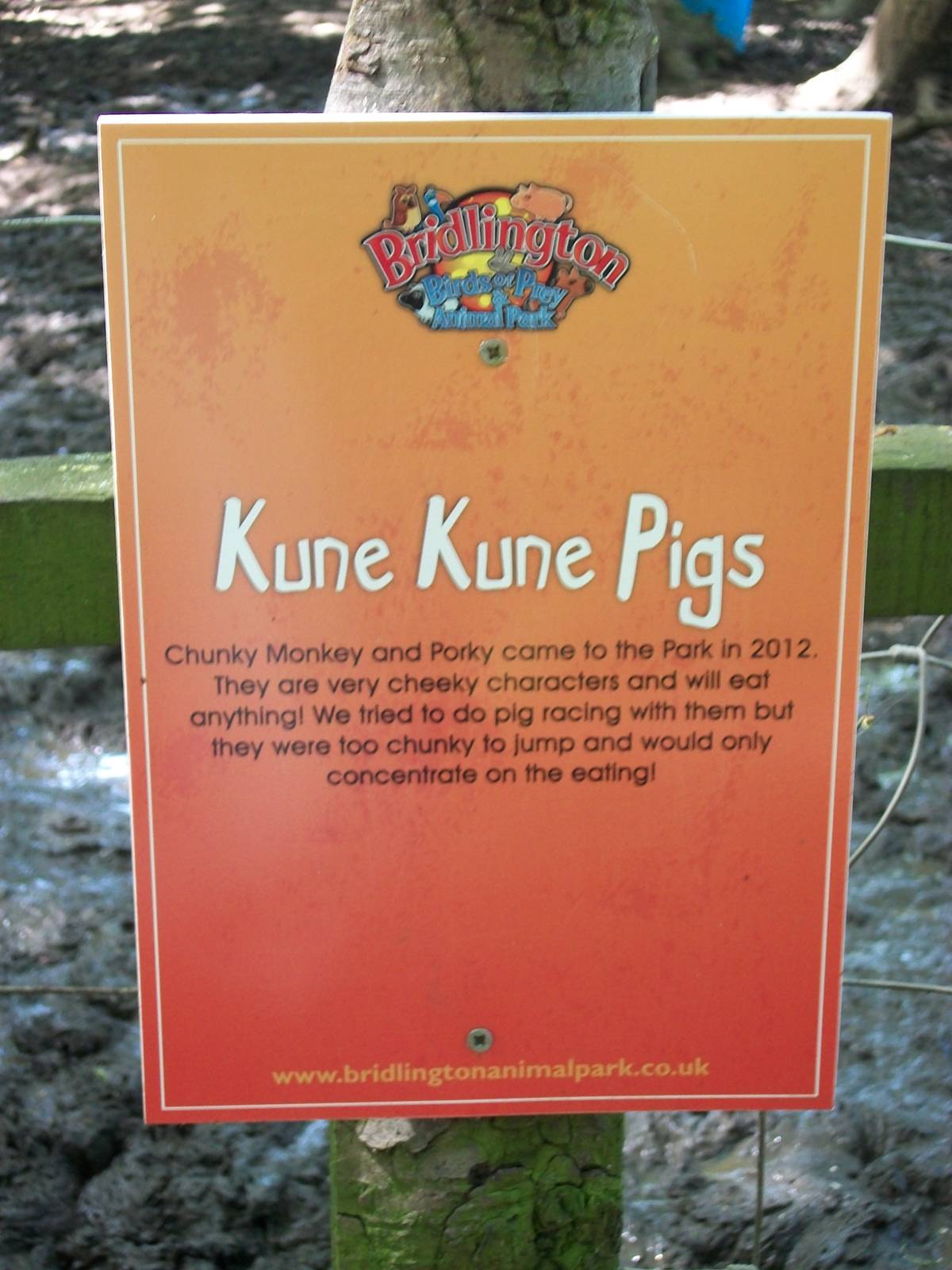 Signage, 6th June 2014