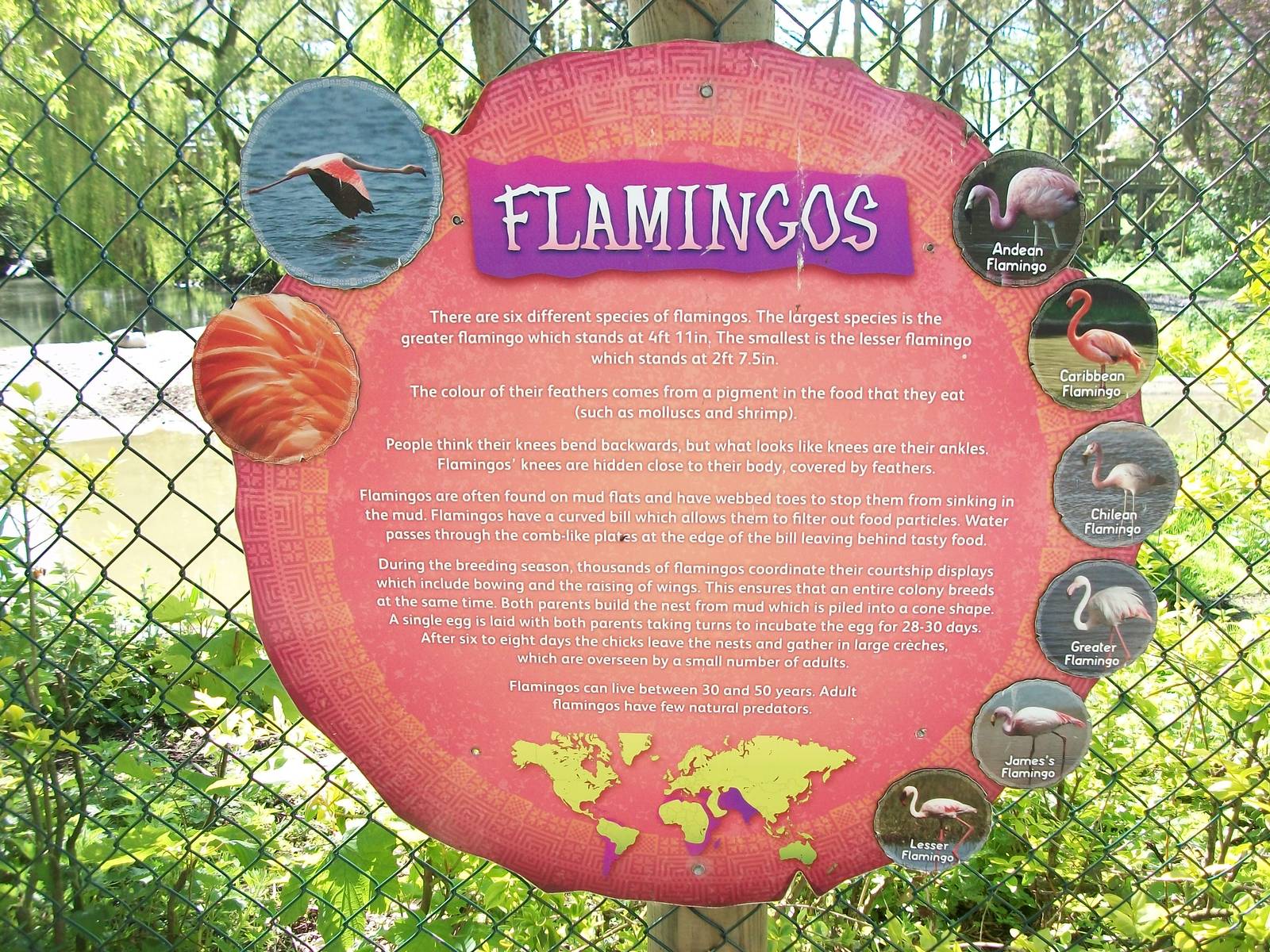 Signage, 6th May 2014