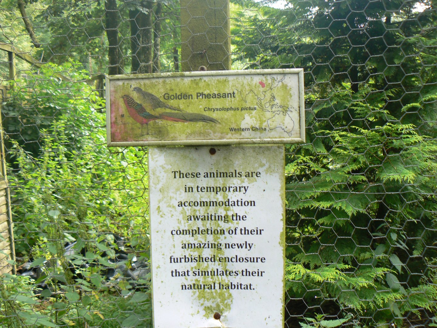 Signage - 8 August 2017