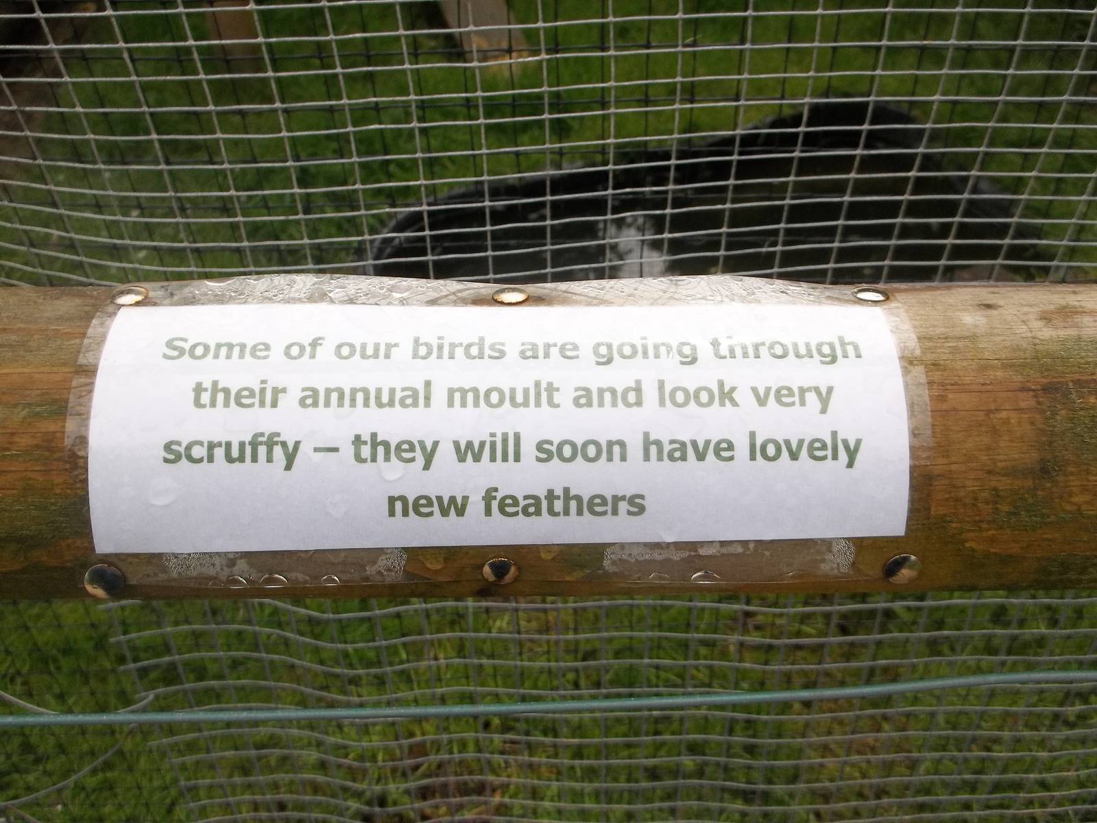 Signage, 8th July 2015