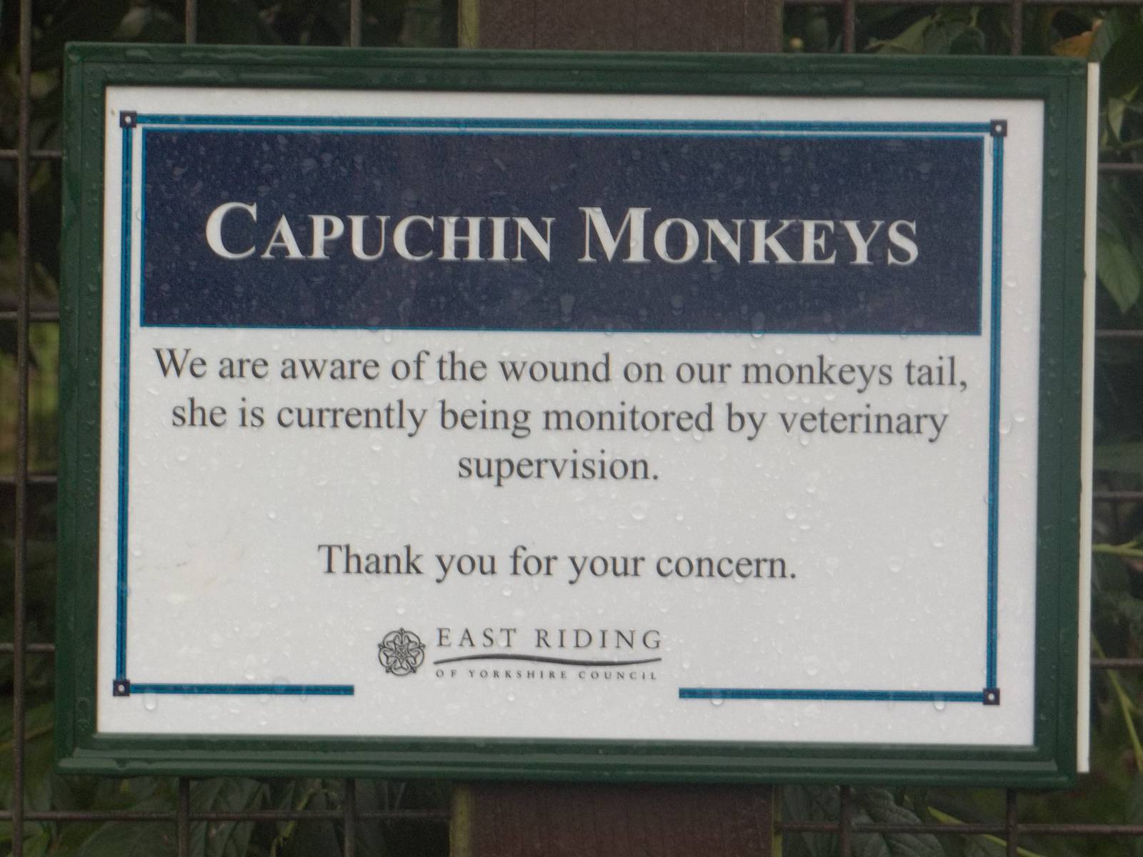 Signage, 8th November 2014