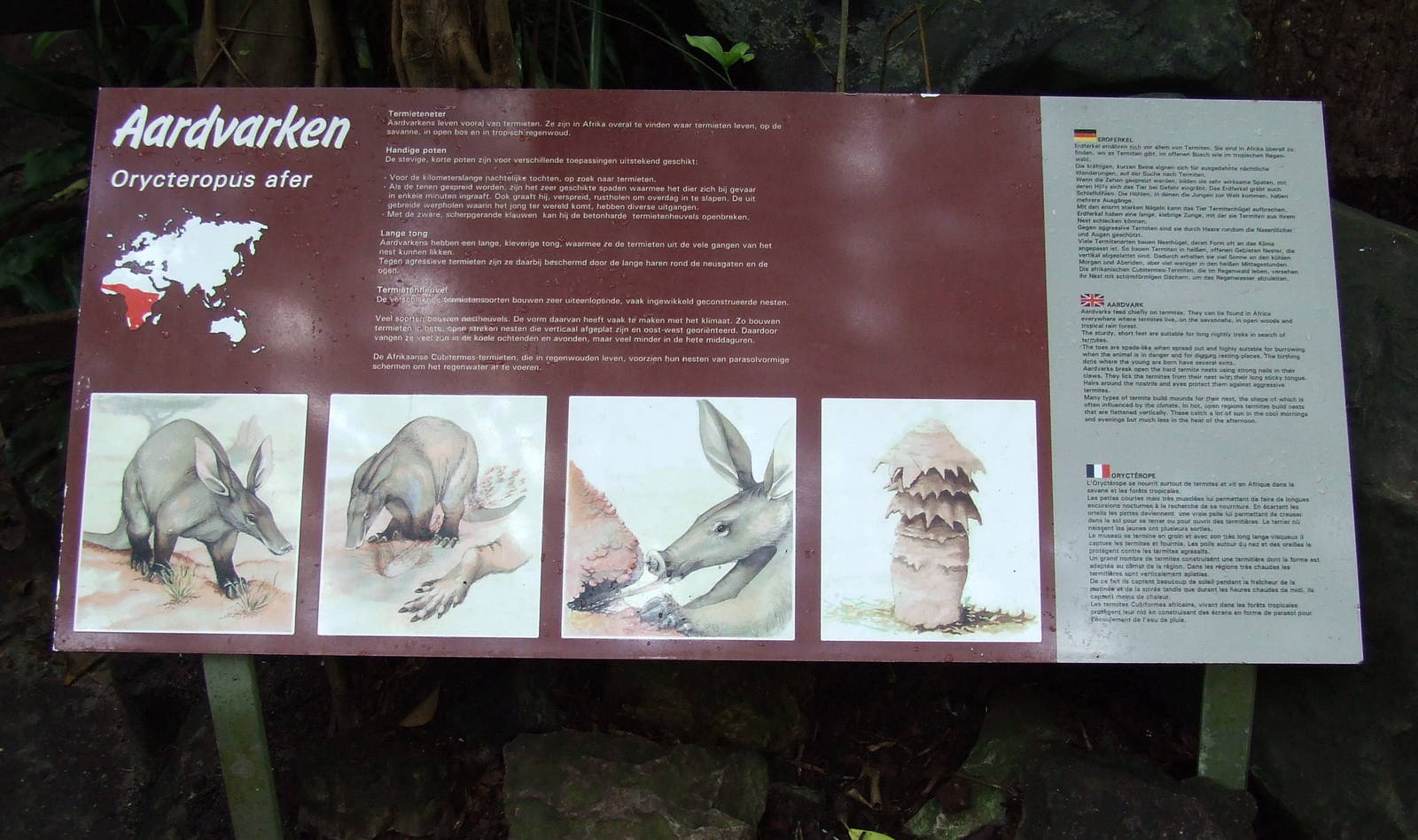 Signage, Aardvark, Burgers Bush