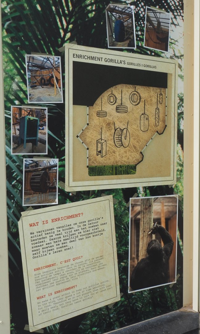 Signage about ape enrichment, 2021-06-12