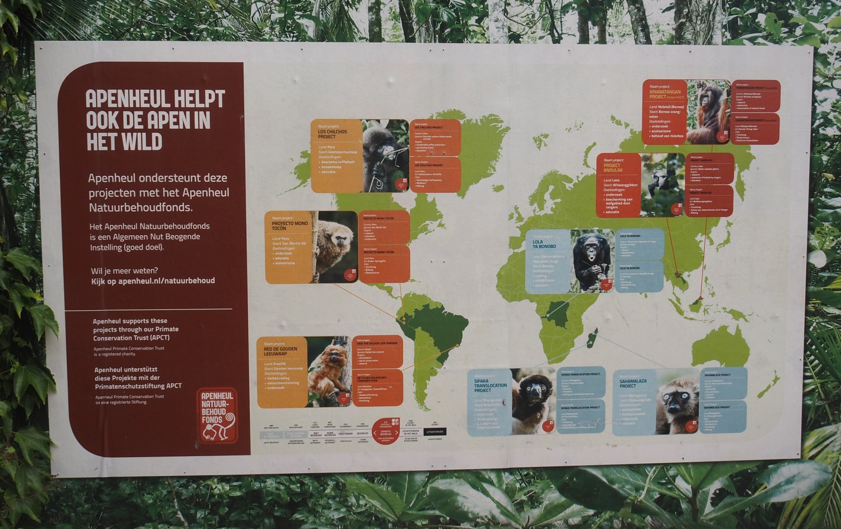 Signage about Apenheul's conservation projects, 2024-08-18