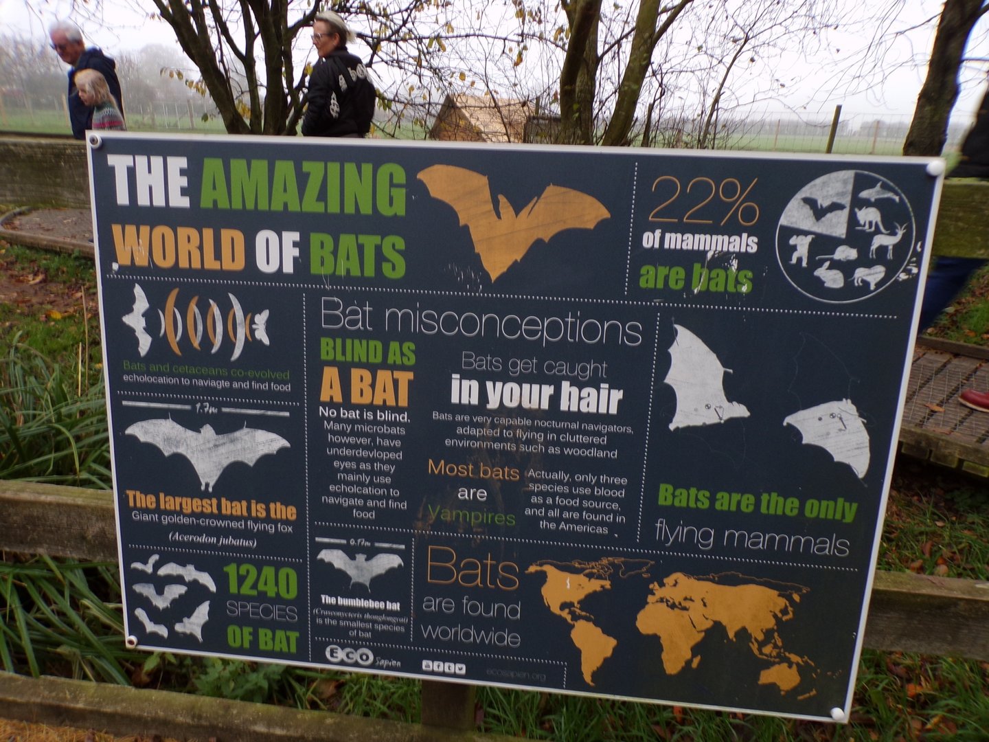 Signage about bats