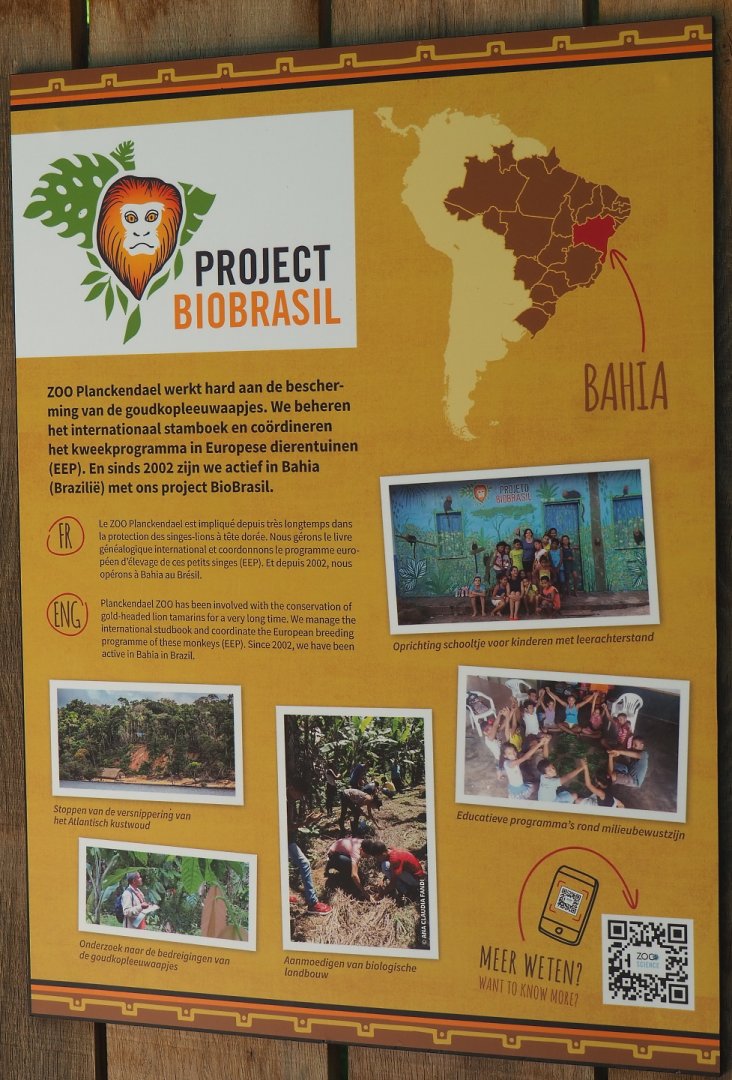 Signage about BioBrasil conservation projects in Brazil the zoo participates in, 2021-06-01