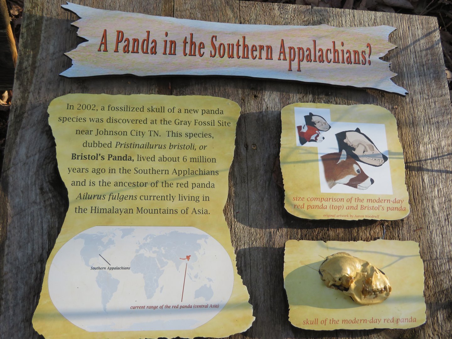 Signage about Bristol's Panda