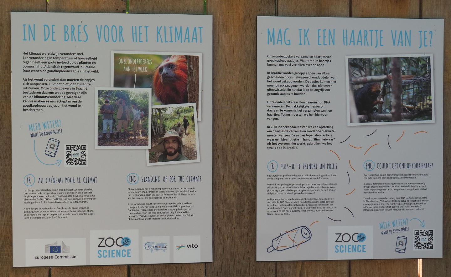 Signage about callitrichid research projects in Brazil zoo scientists participate in, 2021-06-01