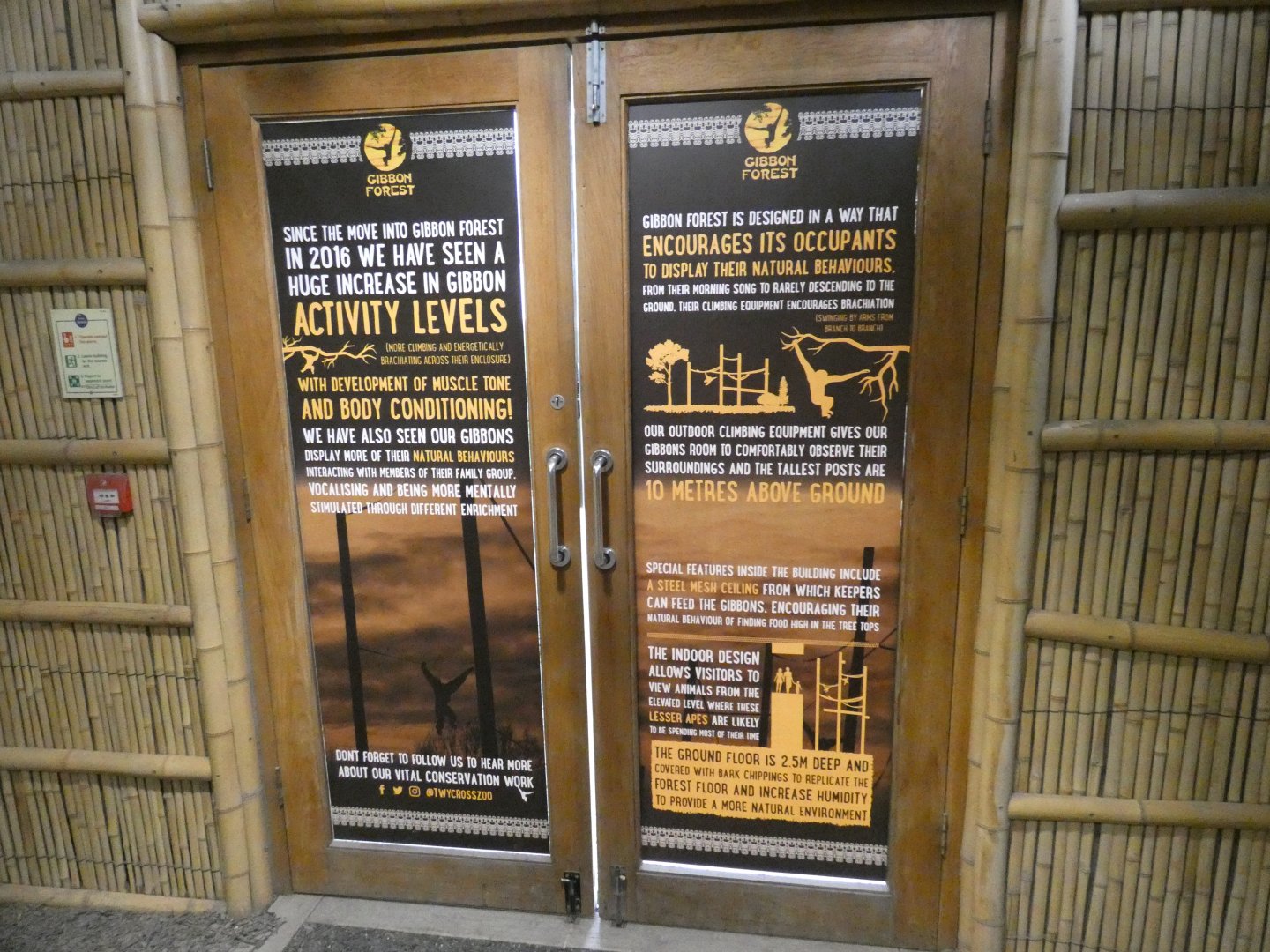 Signage about Gibbon Forest exhibit design