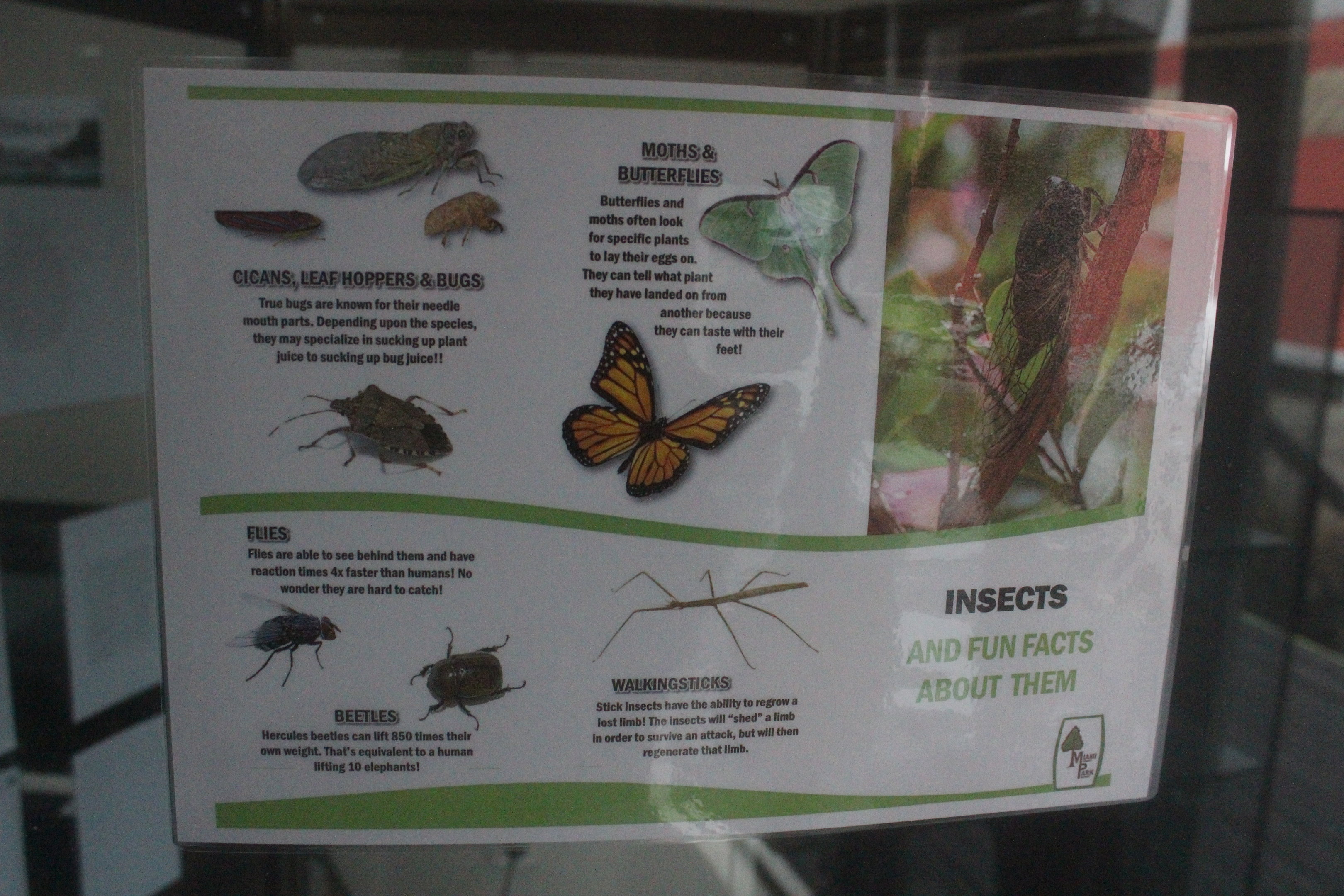 Signage about insects, Wildlife Foxton Trust