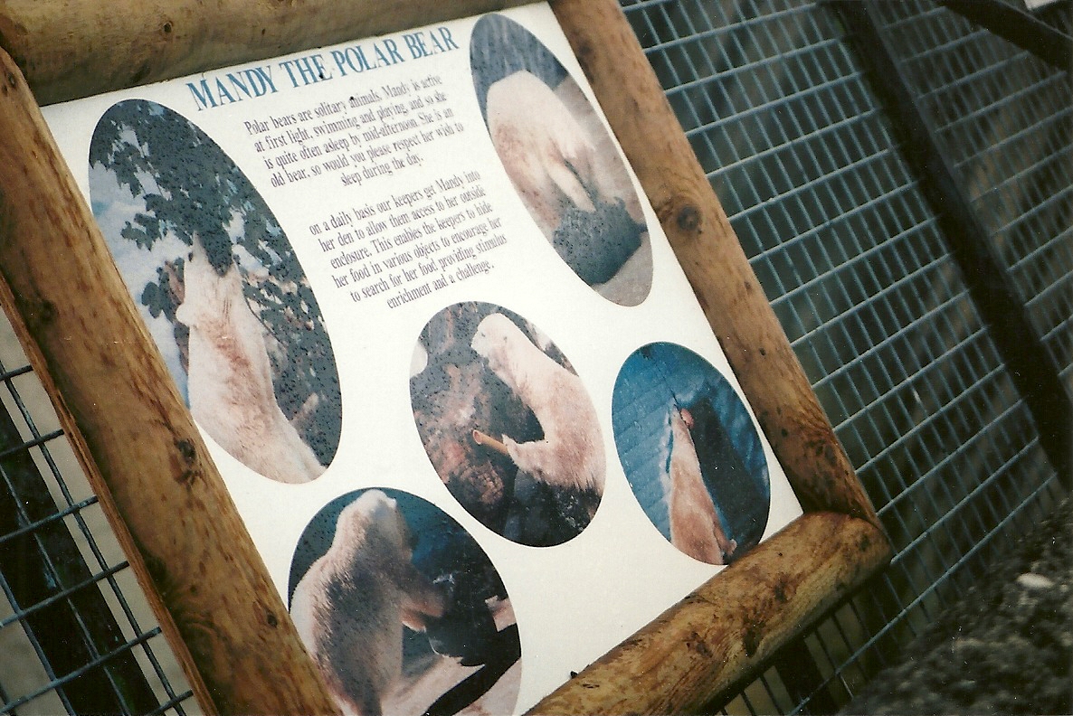 Signage about Mandy circa 2003