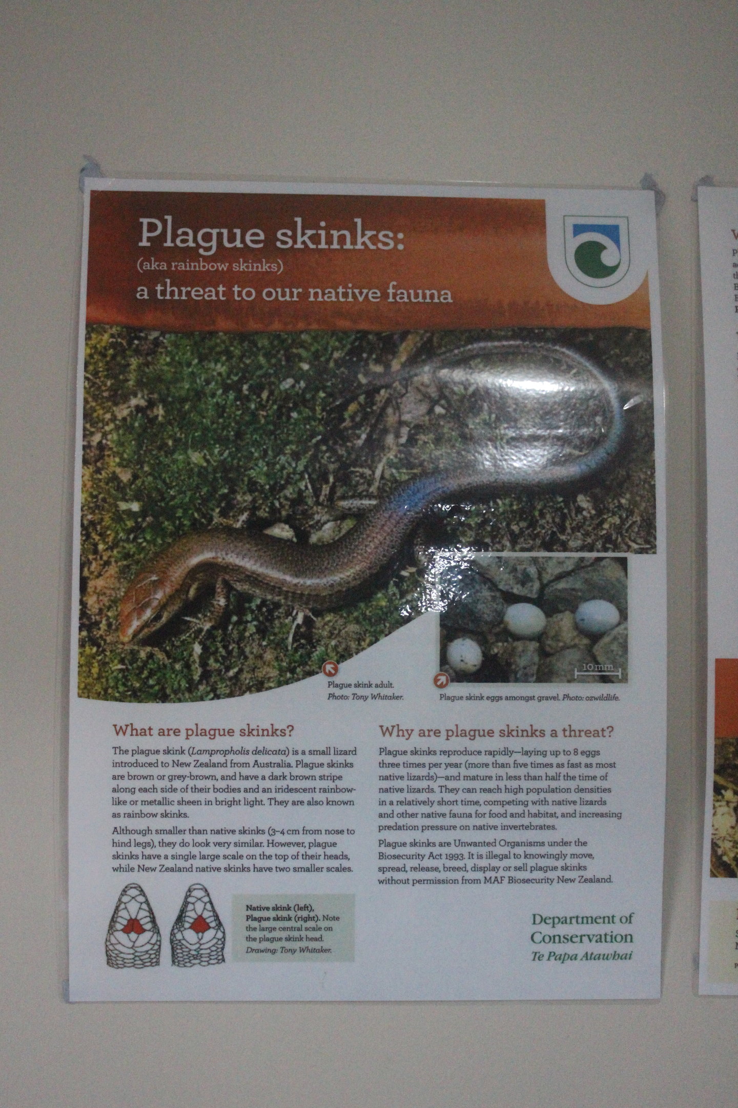 Signage about Plague Skink, Wildlife Foxton Trust