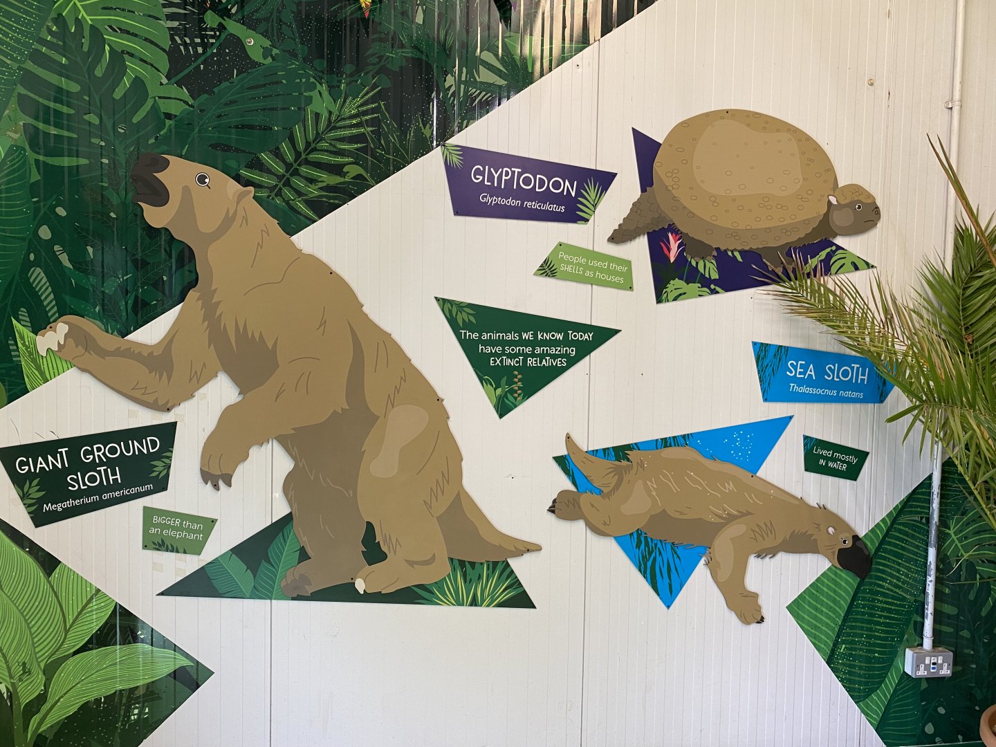 Signage about prehistoric xenarthrans