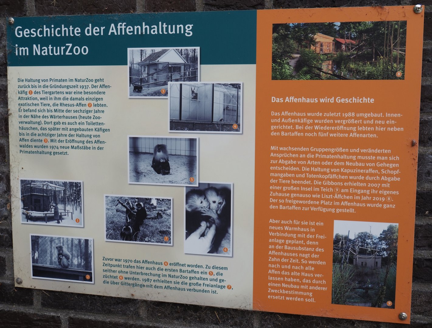 Signage about primate housing at NaturZoo Rheine, 2025-05-22