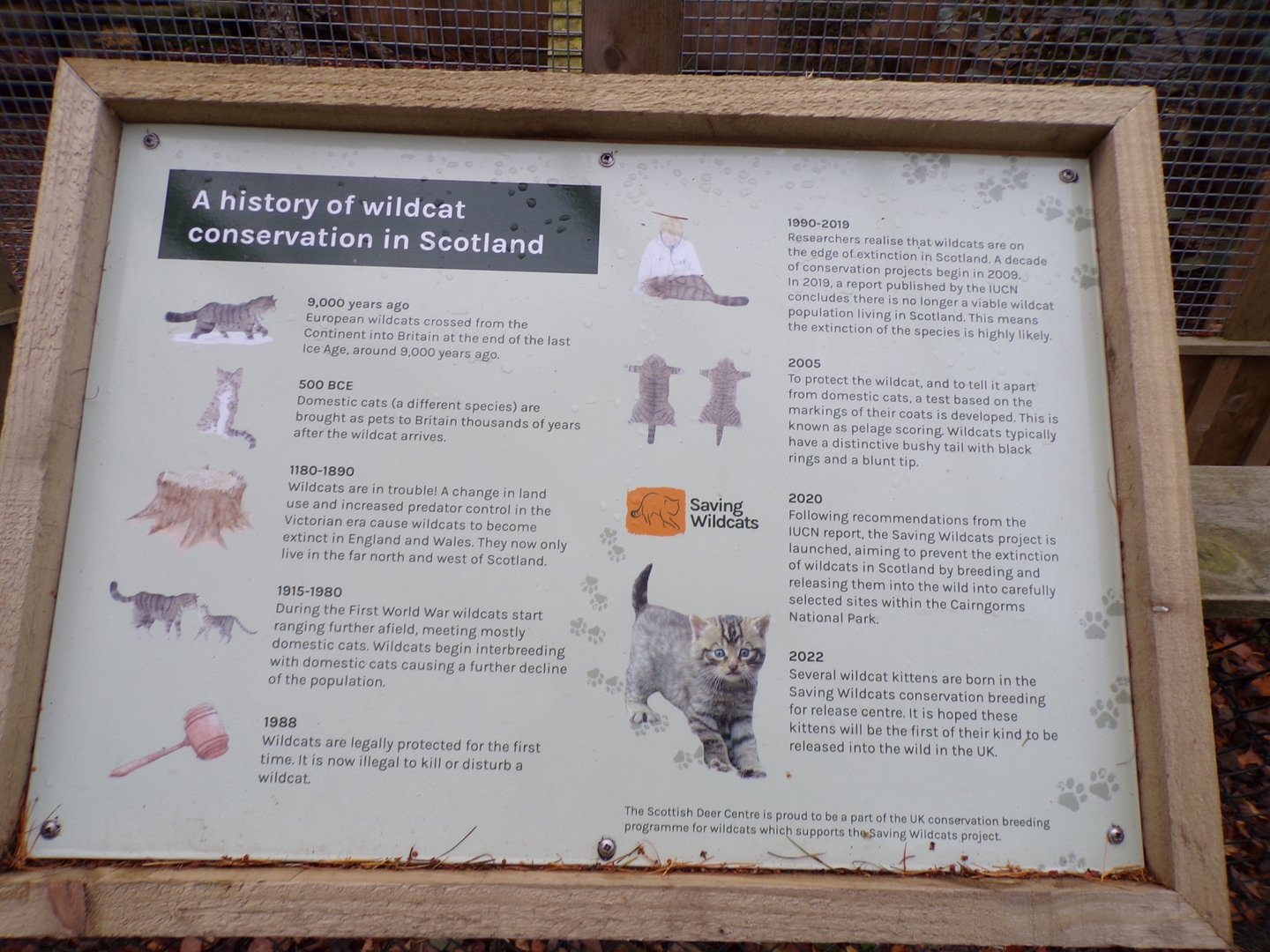 Signage about Scottish wildcat signage